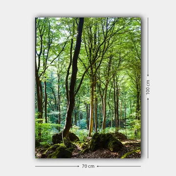 Canvastavla 70x100 cm - Lummig skog med höga träd och grönskande vegetation - Grön / Brun - Inredning - Tavlor & konst - Canvastavlor