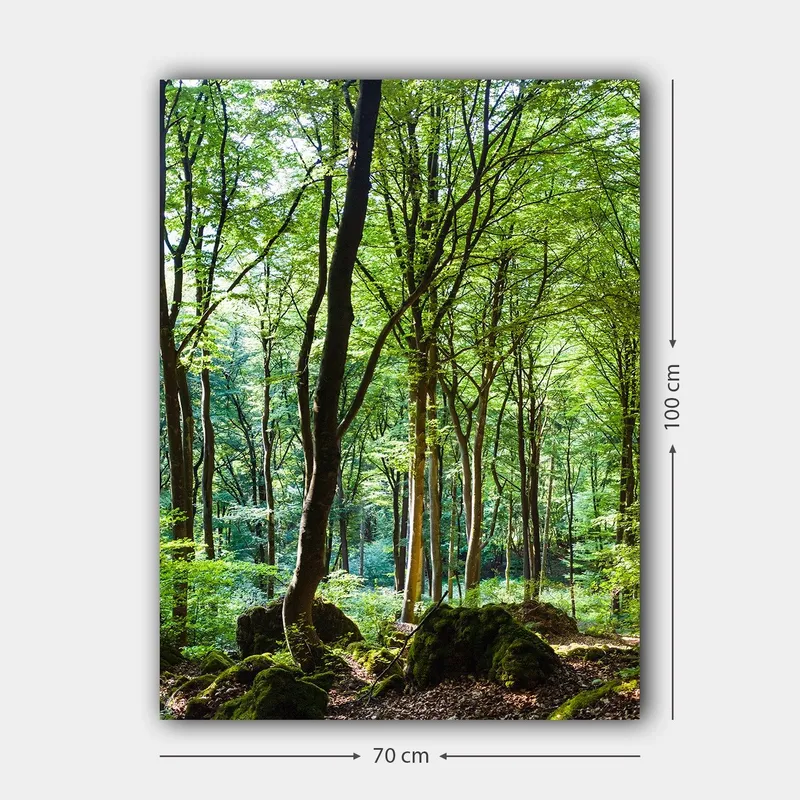 Canvastavla 70x100 cm - Lummig skog med höga träd och grönskande vegetation - Grön / Brun - Inredning - Tavlor & konst - Canvastavlor