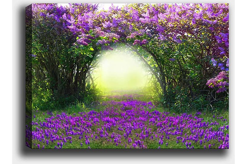 Canvastavla 70x100 cm - Magisk trädgård med lila blommor som leder in i en ljus tunnel av grönska - Lila / Grön / Gul - Inredning - Tavlor & konst - Canvastavlor