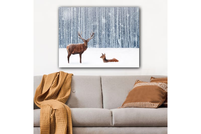 Canvastavla 70x100 cm - Majestätisk älg och en rådjur i en snöig skogsmiljö - Brun / Vit / Grå - Inredning - Tavlor & konst - Canvastavlor