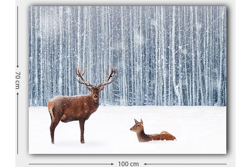 Canvastavla 70x100 cm - Majestätisk älg och en rådjur i en snöig skogsmiljö - Brun / Vit / Grå - Inredning - Tavlor & konst - Canvastavlor