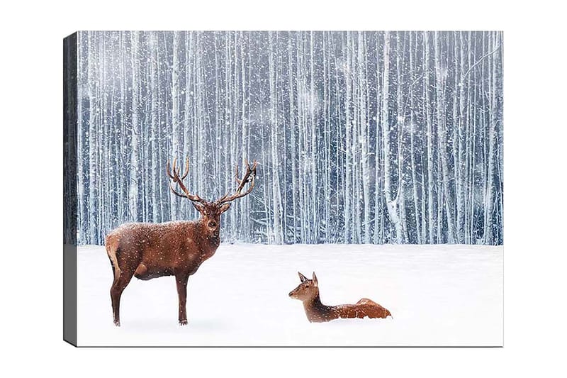 Canvastavla 70x100 cm - Majestätisk älg och en rådjur i en snöig skogsmiljö, Brun / Vit / Grå
