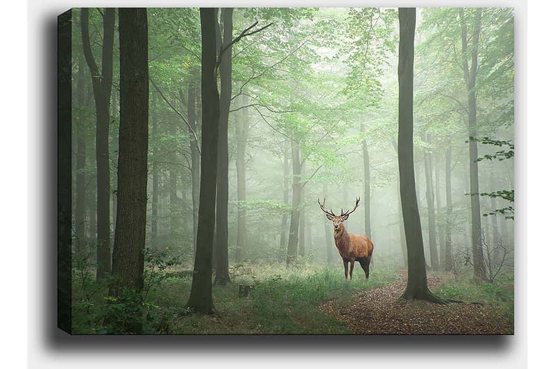 Canvastavla 70x100 cm - Majestätisk älg står stolt i en dimmig skog omgiven av gröna träd - Grön / Brun / Grå - Inredning - Tavlor & konst - Canvastavlor