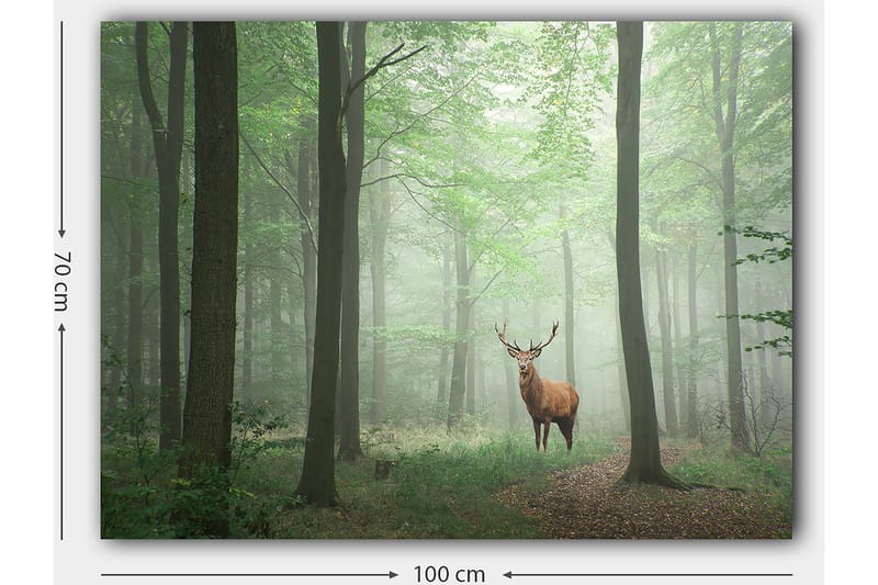 Canvastavla 70x100 cm - Majestätisk älg står stolt i en dimmig skog omgiven av gröna träd - Grön / Brun / Grå - Inredning - Tavlor & konst - Canvastavlor