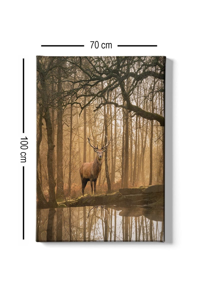 Canvastavla 70x100 cm - Majestätisk älg står vid en spegelblanka sjö omgiven av dimmiga skogar - Brun / Guld / Grön - Inredning - Tavlor & konst - Canvastavlor