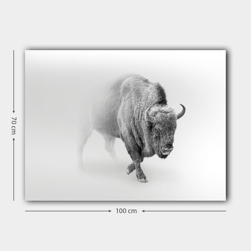 Canvastavla 70x100 cm - Majestätisk bison som går genom dimma - Grå / Vit - Inredning - Tavlor & konst - Canvastavlor