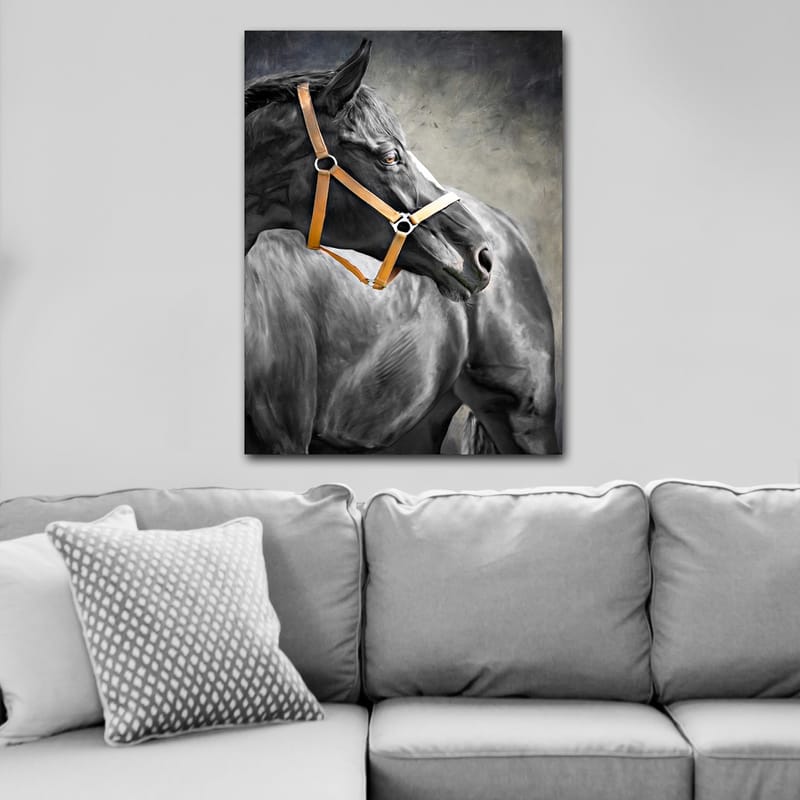 Canvastavla 70x100 cm - Majestätisk häst med ett brunt träns som fångar betraktarens uppmärksamhet - Svart / Brunt / Grått - Inredning - Tavlor & konst - Canvastavlor
