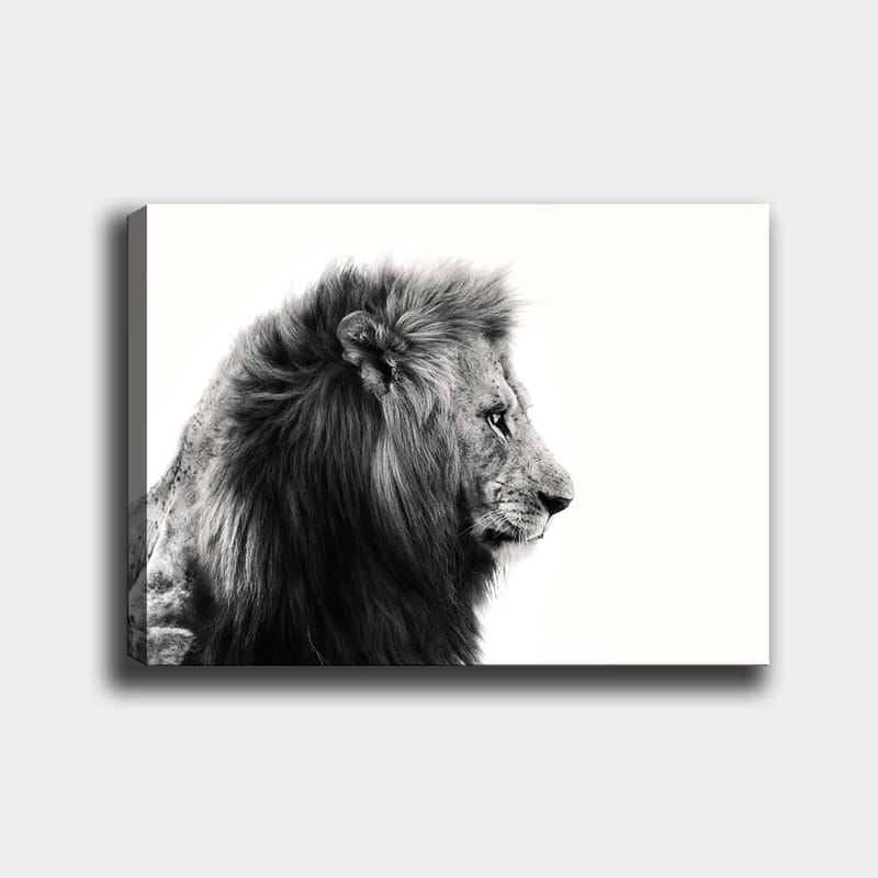 Canvastavla 70x100 cm - Majestätisk lejonprofil i svartvitt som utstrålar styrka och elegans - Svart / Vit - Inredning - Tavlor & konst - Canvastavlor