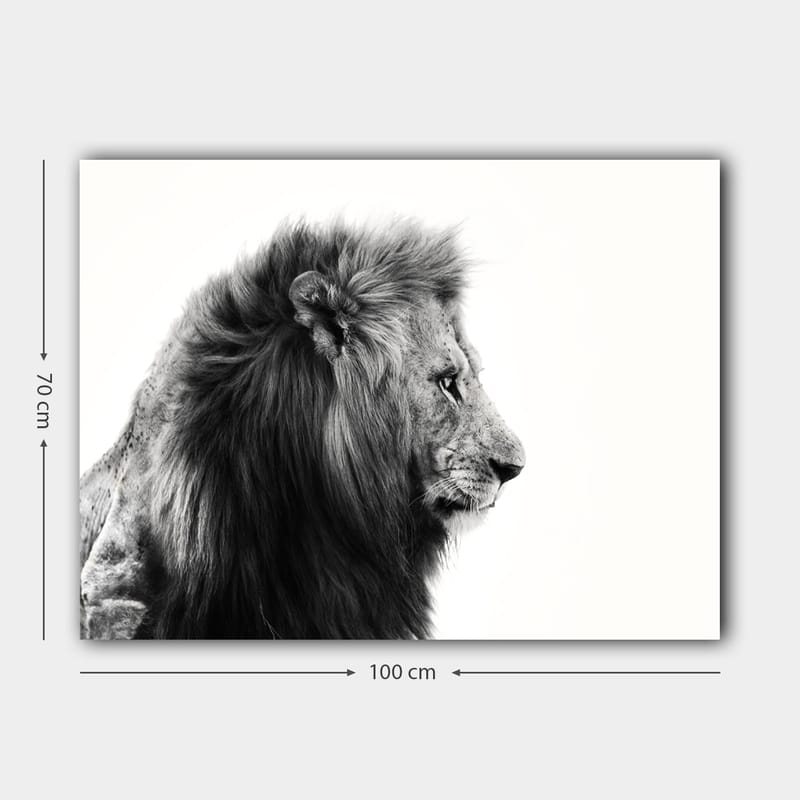 Canvastavla 70x100 cm - Majestätisk lejonprofil i svartvitt som utstrålar styrka och elegans - Svart / Vit - Inredning - Tavlor & konst - Canvastavlor