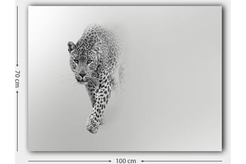Canvastavla 70x100 cm - Majestätisk leopard som rör sig framåt i en stilren och minimalistisk komposition - Svart / Grå - Inredning - Tavlor & konst - Canvastavlor
