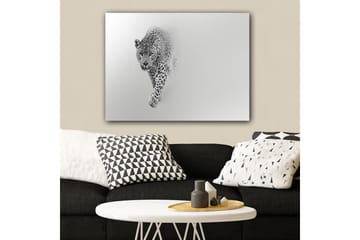 Canvastavla 70x100 cm - Majestätisk leopard som rör sig framåt i en stilren och minimalistisk komposition - Svart / Grå - Inredning - Tavlor & konst - Canvastavlor