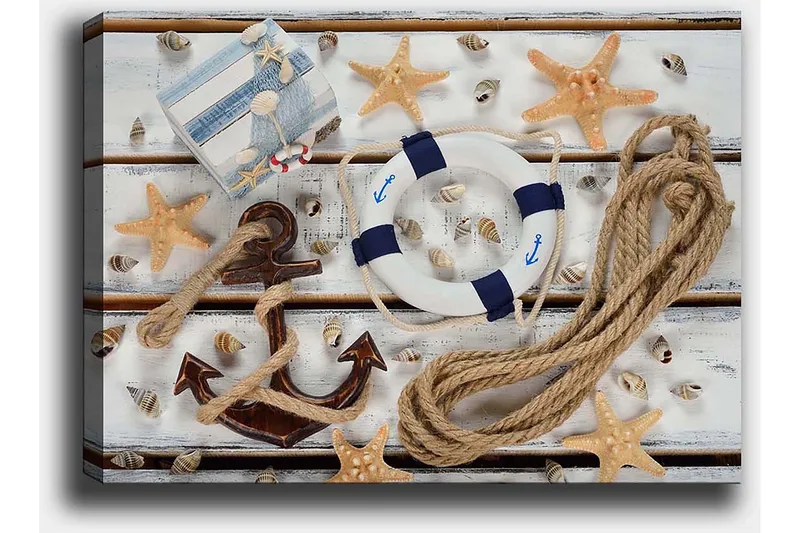 Canvastavla 70x100 cm - Maritimt stilleben med snäckor, stjärnformade sjöstjärnor och en livboj - Beige / Blå / Brun - Inredning - Tavlor & konst - Canvastavlor