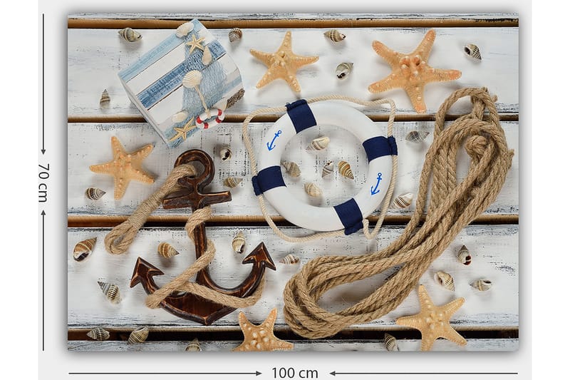 Canvastavla 70x100 cm - Maritimt stilleben med snäckor, stjärnformade sjöstjärnor och en livboj - Beige / Blå / Brun - Inredning - Tavlor & konst - Canvastavlor