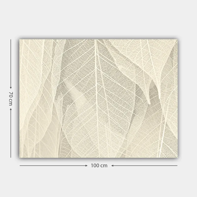 Canvastavla 70x100 cm - Mjuk och subtil komposition av genomskinliga löv som skapar en känsla av lugn och harmoni - Ljusbeige / Vit - Inredning - Tavlor & konst - Canvastavlor