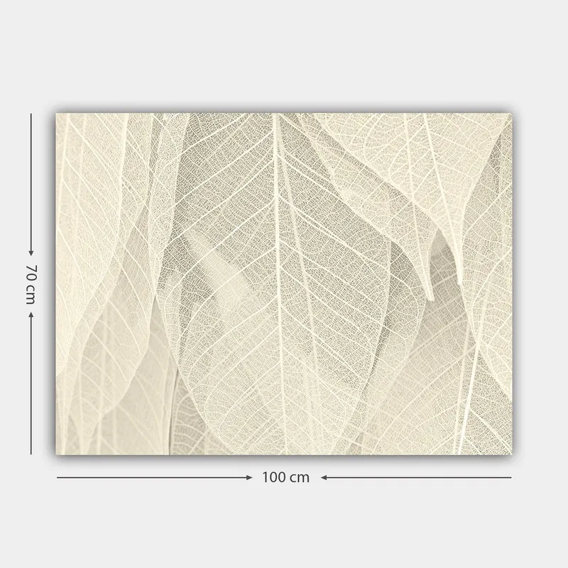 Canvastavla 70x100 cm - Mjuk och subtil komposition av genomskinliga löv som skapar en känsla av lugn och harmoni - Ljusbeige / Vit - Inredning - Tavlor & konst - Canvastavlor