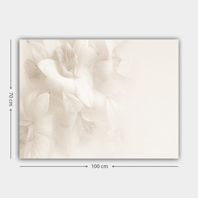 Canvastavla 70x100 cm - Mjuka blommor i subtila nyanser av vitt - Vit / Ljusbeige - Inredning - Tavlor & konst - Canvastavlor