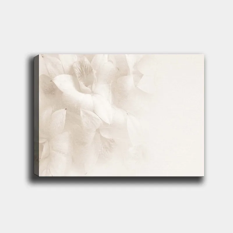 Canvastavla 70x100 cm - Mjuka blommor i subtila nyanser av vitt, Vit / Ljusbeige