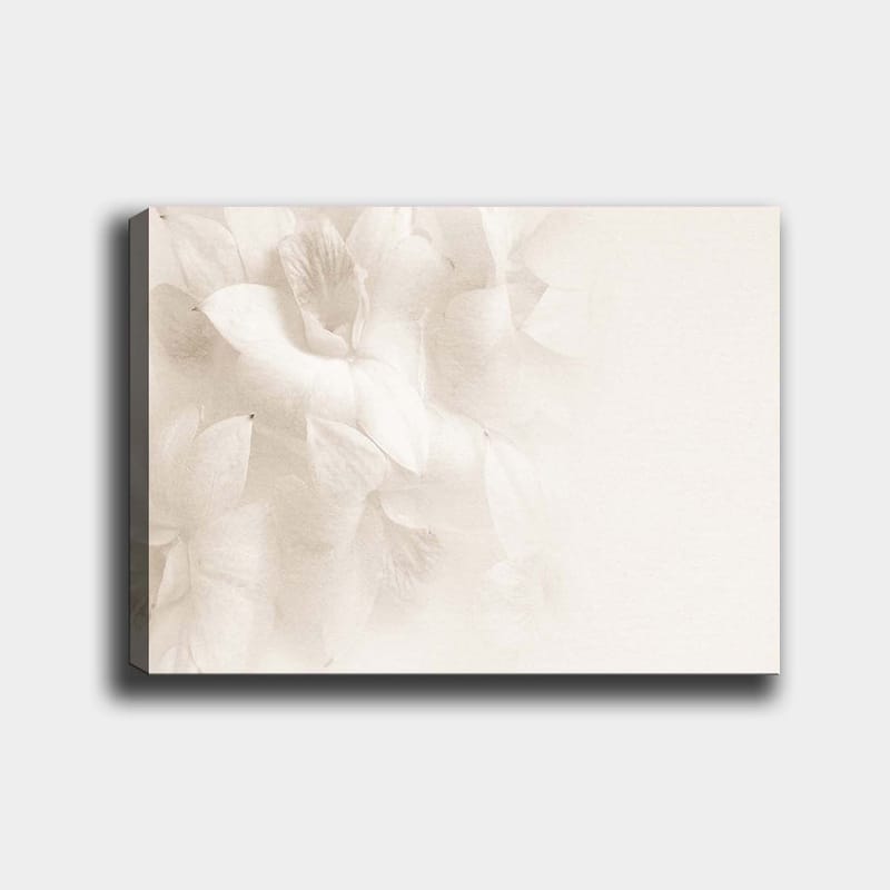 Canvastavla 70x100 cm - Mjuka blommor i subtila nyanser av vitt, Vit / Ljusbeige