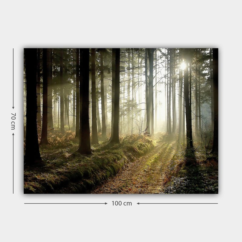 Canvastavla 70x100 cm - Mystisk skog med solstrålar som bryter genom träden - Mörkgrön / Ljusgrön / Brun - Inredning - Tavlor & konst - Canvastavlor