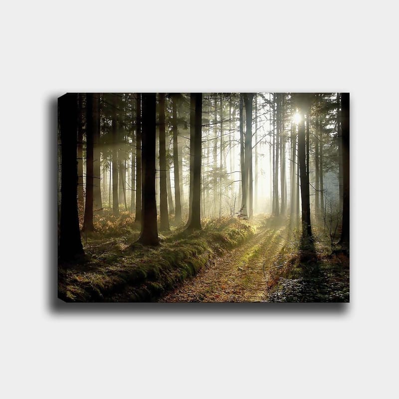 Canvastavla 70x100 cm - Mystisk skog med solstrålar som bryter genom träden, Mörkgrön / Ljusgrön / Brun