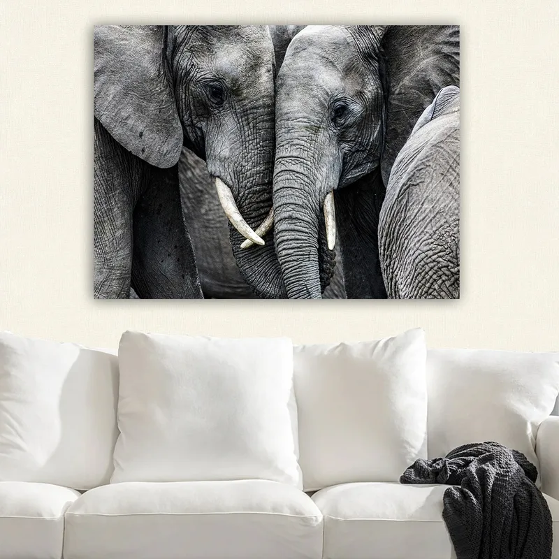 Canvastavla 70x100 cm - Närbild av elefanter som visar deras ansikten och betar i en intim sammanslutning - Grå / Vit - Inredning - Tavlor & konst - Canvastavlor