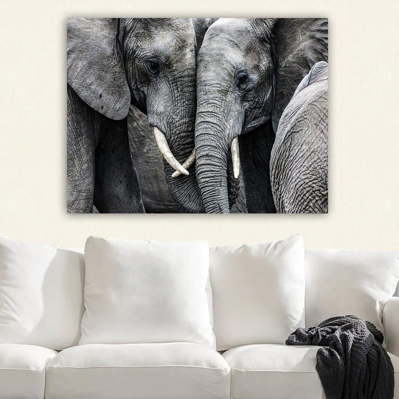 Canvastavla 70x100 cm - Närbild av elefanter som visar deras ansikten och betar i en intim sammanslutning - Grå / Vit - Inredning - Tavlor & konst - Canvastavlor