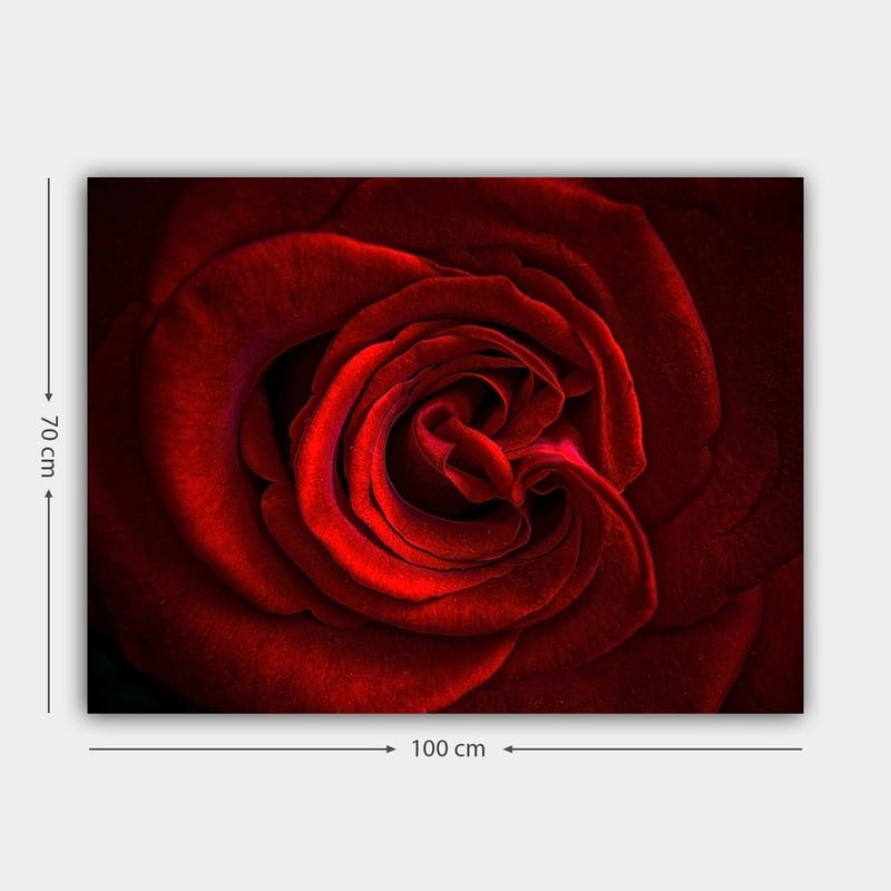Canvastavla 70x100 cm - Närbild av en vacker röd ros med detaljerade kronblad - Röd / Mörkröd - Inredning - Tavlor & konst - Canvastavlor