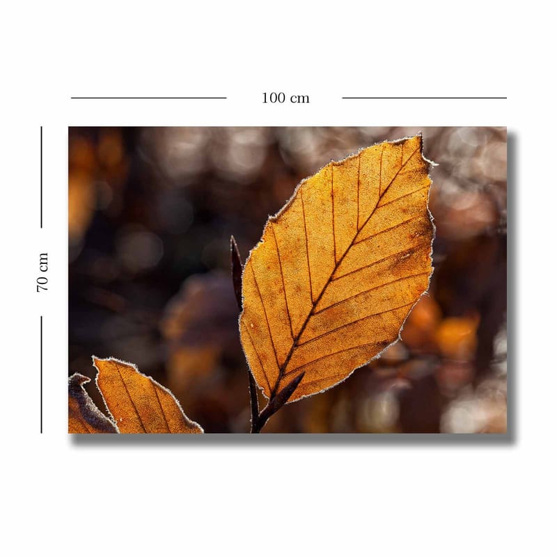 Canvastavla 70x100 cm - Närbild av ett gyllene höstlöv med detaljerade ådringar - Guldorange / Brun - Inredning - Tavlor & konst - Canvastavlor