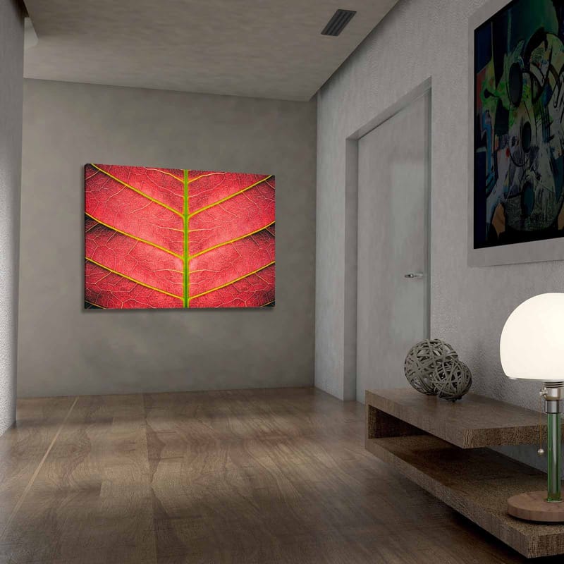 Canvastavla 70x100 cm - Närbild av ett rödaktigt blad med detaljerade ådror - Röd / Grön - Inredning - Tavlor & konst - Canvastavlor