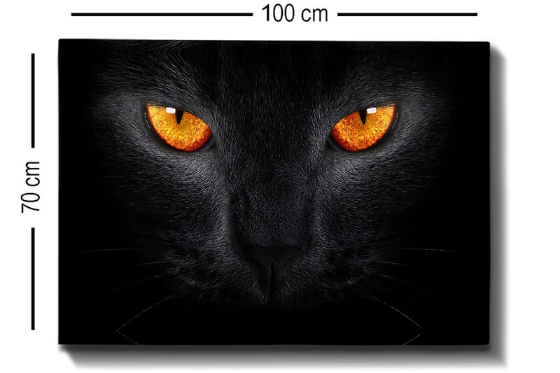 Canvastavla 70x100 cm - Närbild av ett svart katthuvud med intensiva ögon - Svart / Orange - Inredning - Tavlor & konst - Canvastavlor