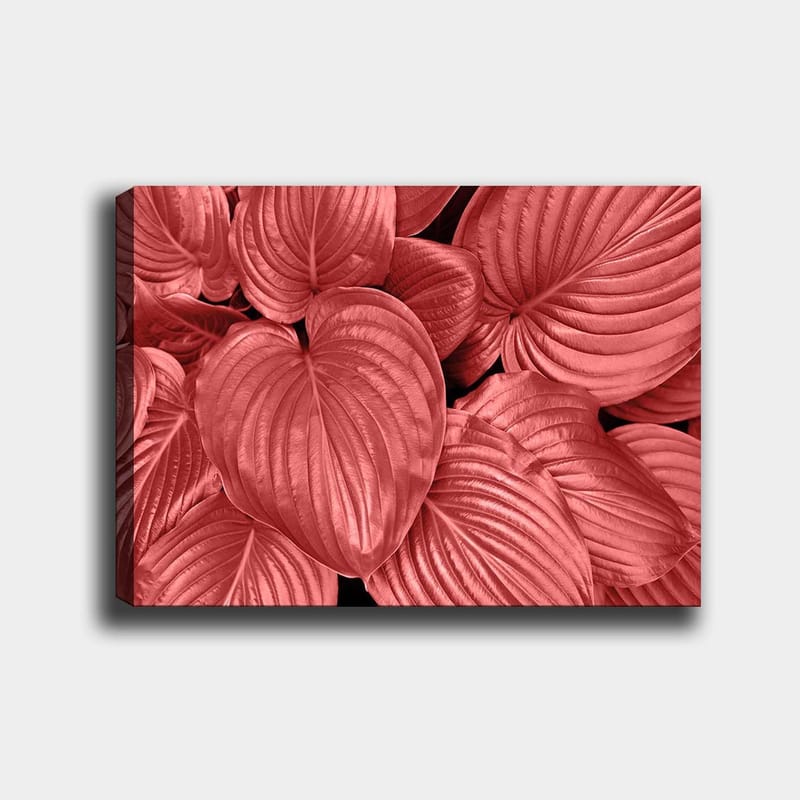 Canvastavla 70x100 cm - Närbild av stiliga, röda blad med tydliga ådringar, Röd / Svart