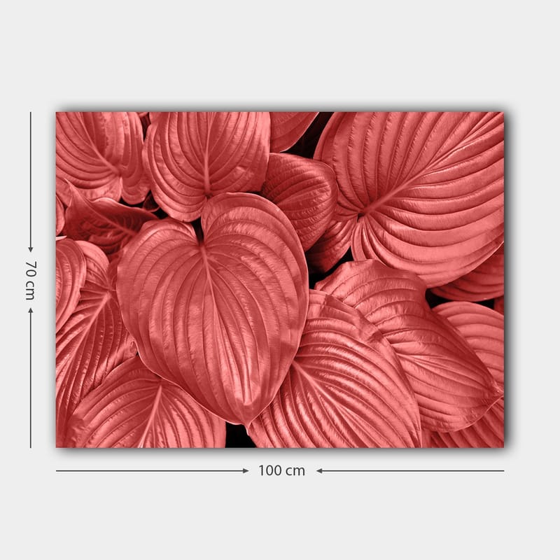 Canvastavla 70x100 cm - Närbild av stiliga, röda blad med tydliga ådringar - Röd / Svart - Inredning - Tavlor & konst - Canvastavlor