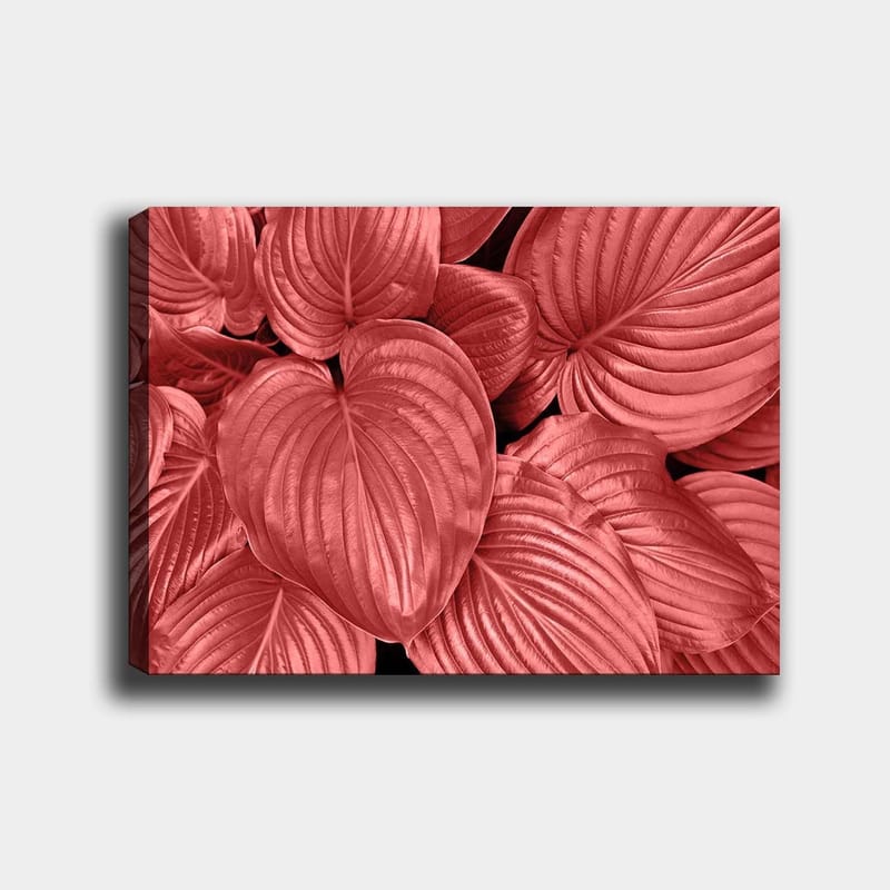 Canvastavla 70x100 cm - Närbild av stiliga, röda blad med tydliga ådringar, Röd / Svart