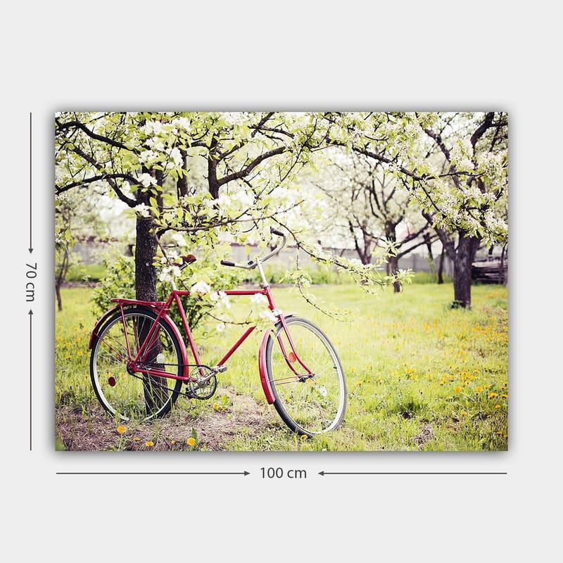 Canvastavla 70x100 cm - Röd cykel stående under blommande träd i en grönskande miljö - Röd / Grön / Vit - Inredning - Tavlor & konst - Canvastavlor