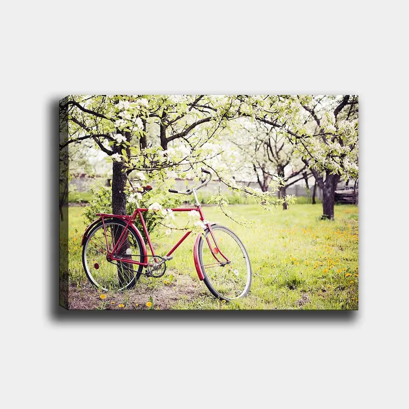 Canvastavla 70x100 cm - Röd cykel stående under blommande träd i en grönskande miljö - Röd / Grön / Vit - Inredning - Tavlor & konst - Canvastavlor