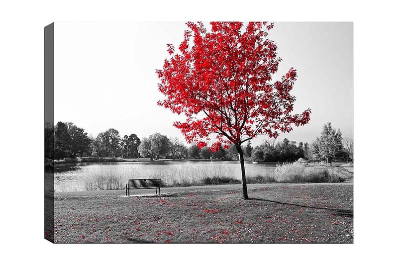 Canvastavla 70x100 cm - Röd lövträd i en svartvit parkmiljö vid en sjö, Röd / Svart / Grå
