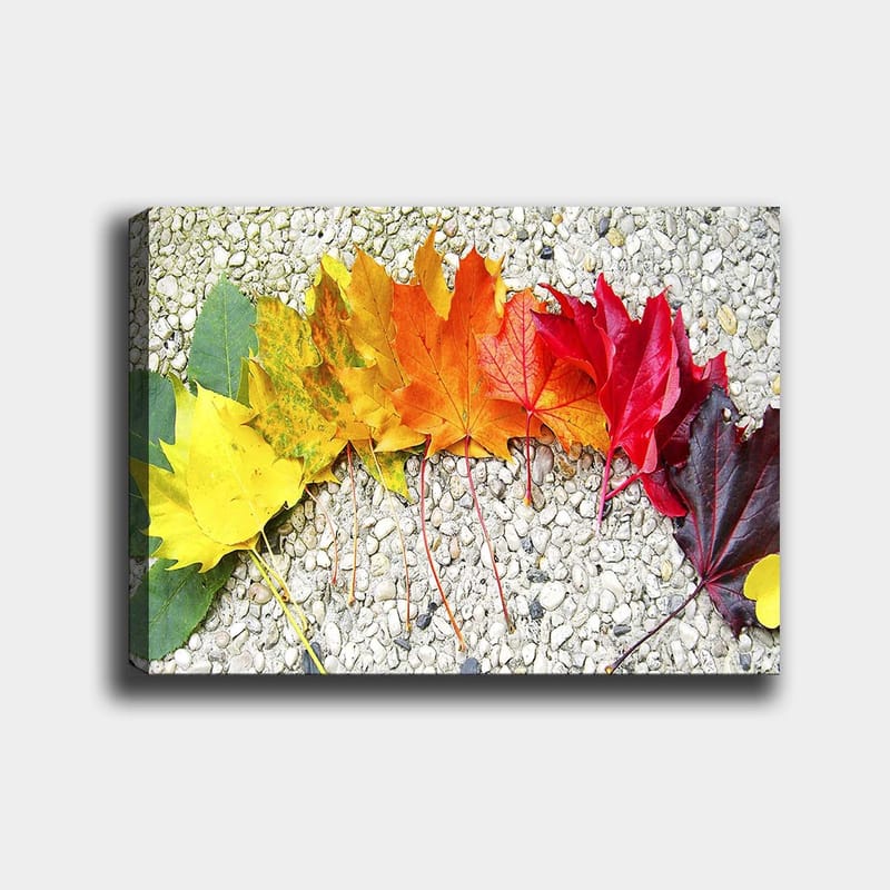 Canvastavla 70x100 cm - Rad av färgglada höstlöv i olika nyanser som visar naturens skönhet - Röd / Orange / Gul - Inredning - Tavlor & konst - Canvastavlor