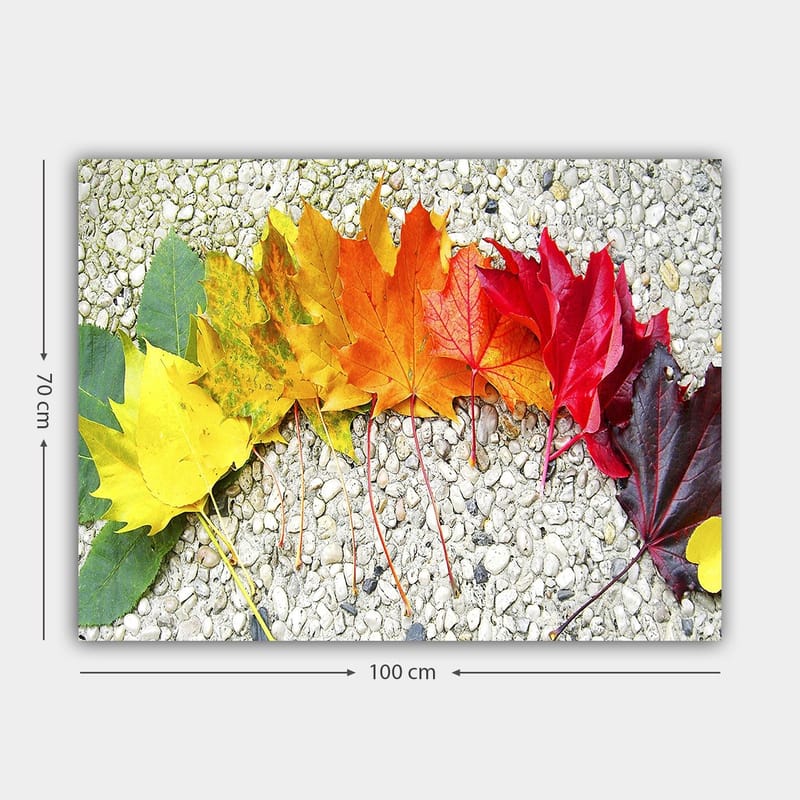 Canvastavla 70x100 cm - Rad av färgglada höstlöv i olika nyanser som visar naturens skönhet - Röd / Orange / Gul - Inredning - Tavlor & konst - Canvastavlor