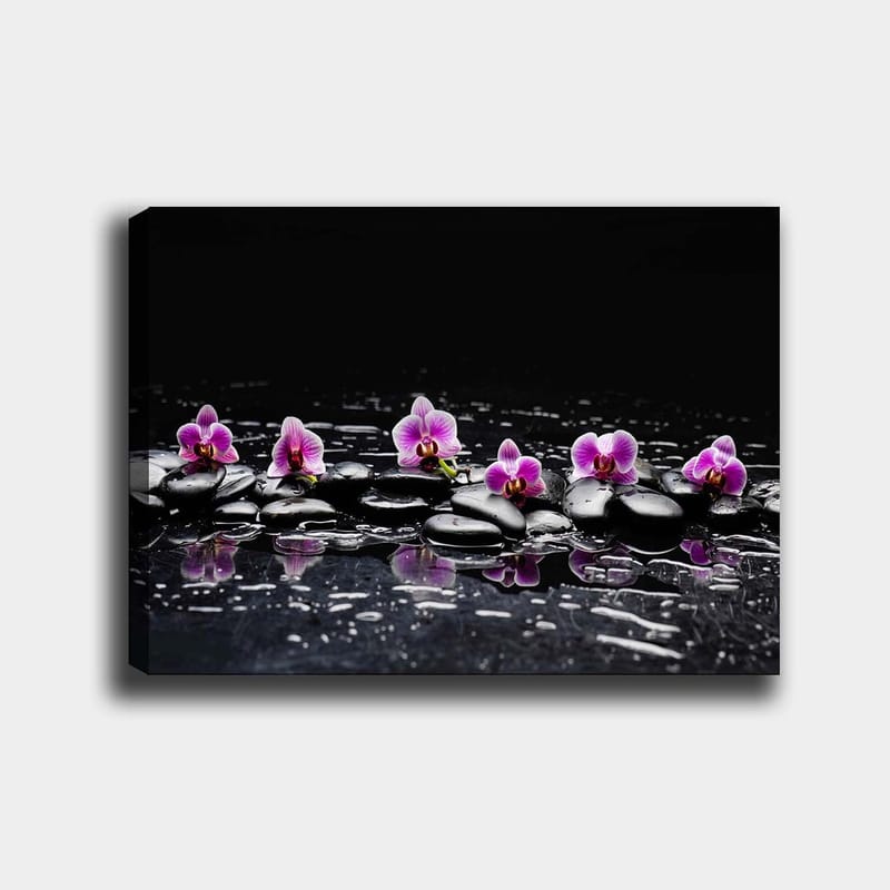 Canvastavla 70x100 cm - Rad av lila orkidéer som vilar på svarta stenar med reflektioner i vatten - Lila / Svart - Inredning - Tavlor & konst - Canvastavlor
