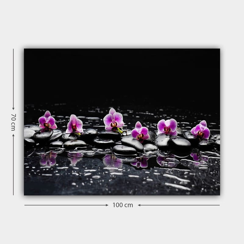 Canvastavla 70x100 cm - Rad av lila orkidéer som vilar på svarta stenar med reflektioner i vatten - Lila / Svart - Inredning - Tavlor & konst - Canvastavlor
