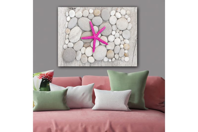 Canvastavla 70x100 cm - Rosa sjöstjärna omgiven av grå och vita stenar - Grå / Vit / Rosa - Inredning - Tavlor & konst - Canvastavlor