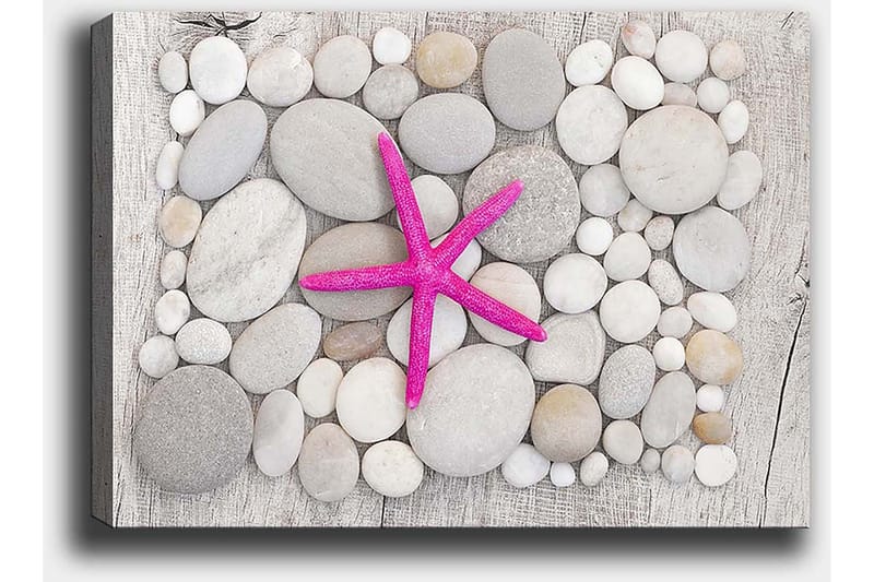Canvastavla 70x100 cm - Rosa sjöstjärna omgiven av grå och vita stenar - Grå / Vit / Rosa - Inredning - Tavlor & konst - Canvastavlor