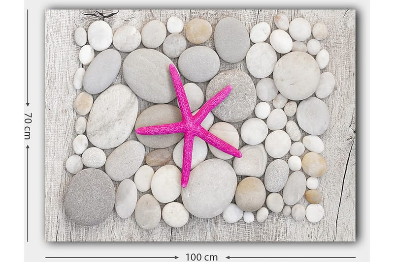 Canvastavla 70x100 cm - Rosa sjöstjärna omgiven av grå och vita stenar - Grå / Vit / Rosa - Inredning - Tavlor & konst - Canvastavlor
