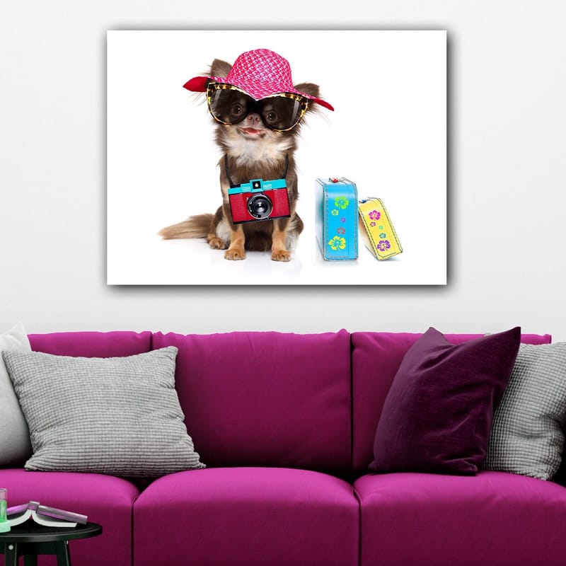 Canvastavla 70x100 cm - Söt chihuahua klädd i solhatt och solglasögon, med en kamera hängande runt halsen - Rosa / Blå / Röd - Inredning - Tavlor & konst - Canvastavlor