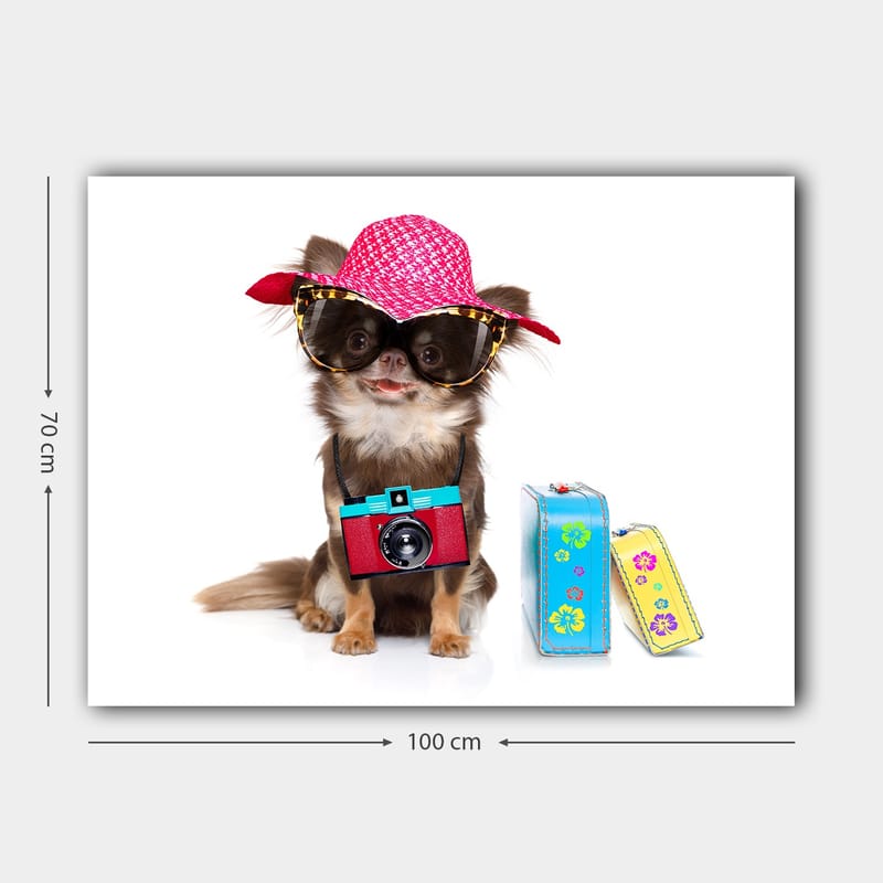 Canvastavla 70x100 cm - Söt chihuahua klädd i solhatt och solglasögon, med en kamera hängande runt halsen - Rosa / Blå / Röd - Inredning - Tavlor & konst - Canvastavlor