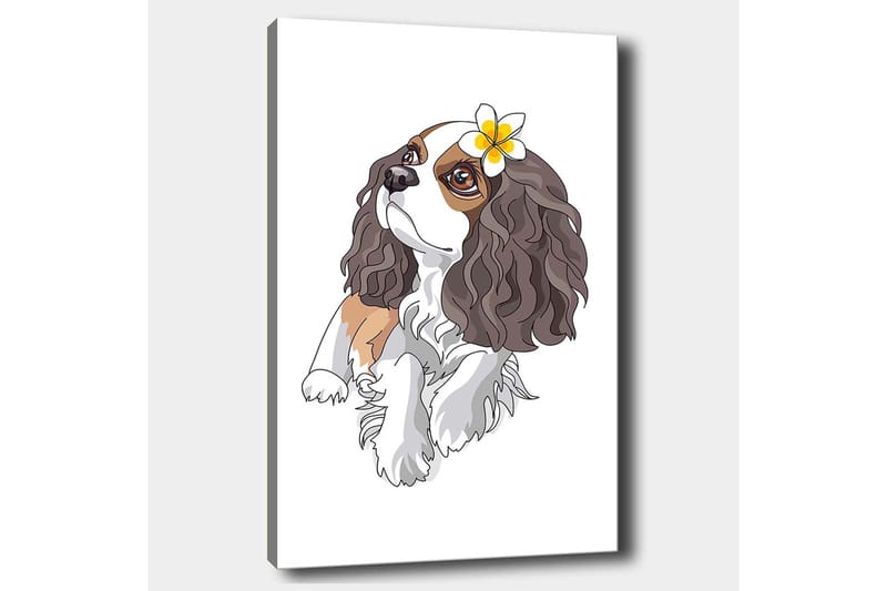 Canvastavla 70x100 cm - Söt hund med lockigt hår och en blomma i örat - Brun / Vit / Svart - Inredning - Tavlor & konst - Canvastavlor