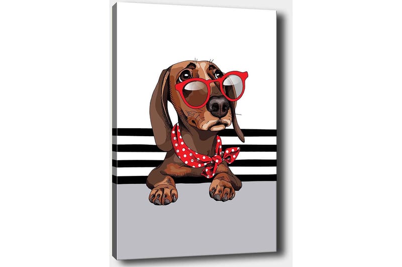 Canvastavla 70x100 cm - Söt hund med solglasögon och en röd prickig scarf - Brun / Röd / Grå - Inredning - Tavlor & konst - Canvastavlor