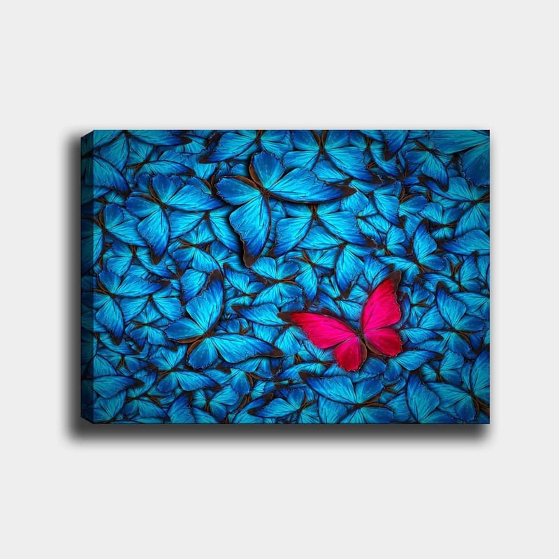 Canvastavla 70x100 cm - Samling av blå fjärilar med en framträdande rosa fjäril i mitten, Blå / Rosa