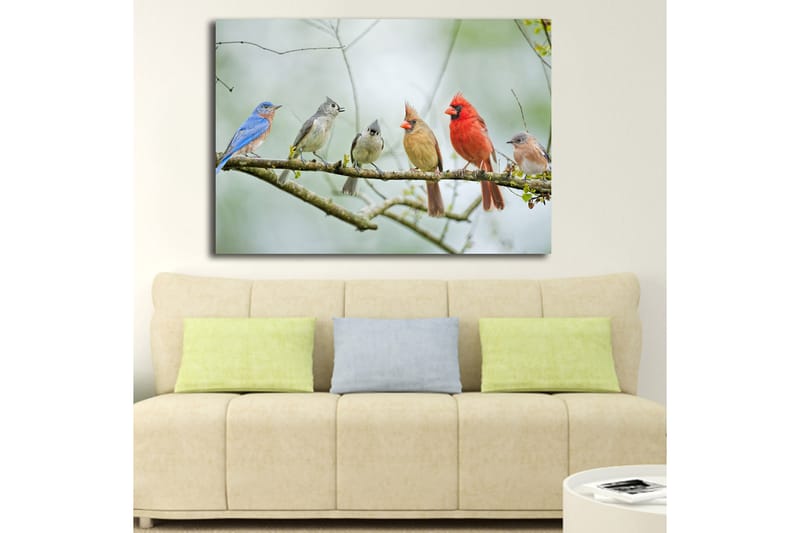 Canvastavla 70x100 cm - Samling av färgglada fåglar som sitter på en gren - Blå / Röd / Grå - Inredning - Tavlor & konst - Canvastavlor
