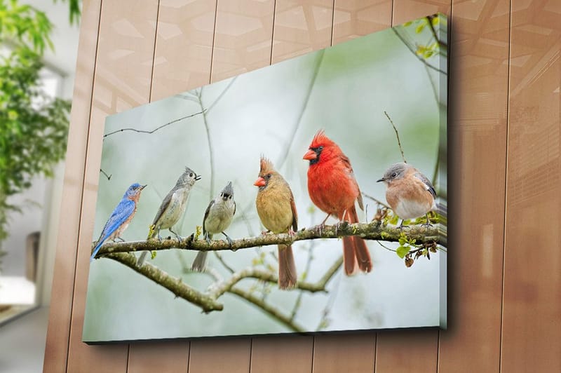 Canvastavla 70x100 cm - Samling av färgglada fåglar som sitter på en gren - Blå / Röd / Grå - Inredning - Tavlor & konst - Canvastavlor